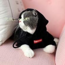 ȼ