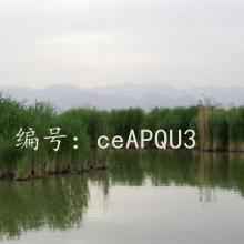 Ͻ