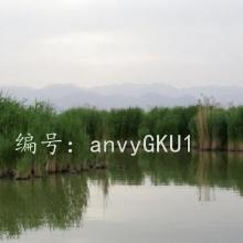 ջ