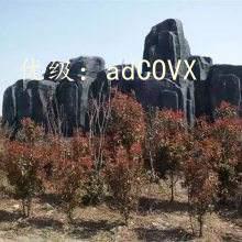 ѧУ