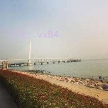 ȼ