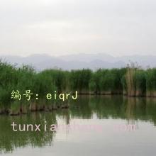 ջ