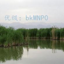 ʧ